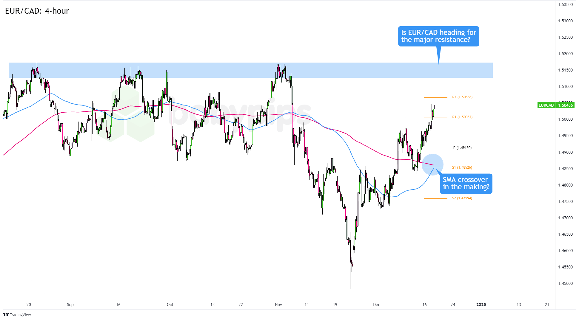 港南区举行“桂字号”荔枝产销对接活动